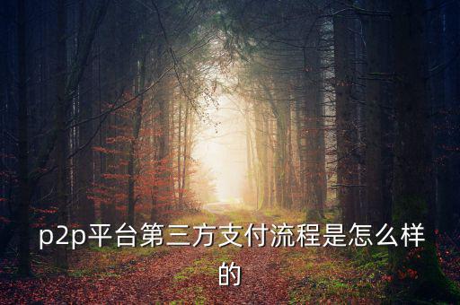  p2p平臺第三方支付流程是怎么樣的
