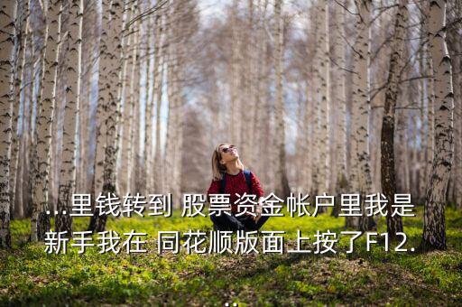 ...里錢(qián)轉(zhuǎn)到 股票資金帳戶(hù)里我是新手我在 同花順版面上按了F12...