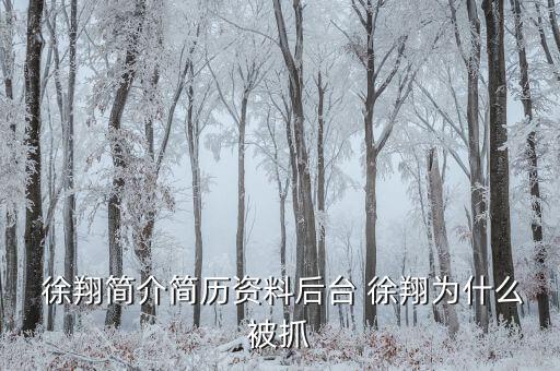 徐翔是怎么回事,徐翔、王偉、犯受賄罪被判入獄五年半
