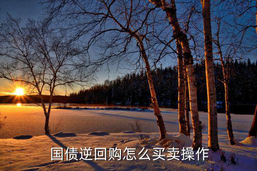  國(guó)債逆回購(gòu)怎么買賣操作