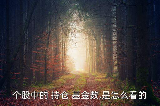 基金持倉怎么看,基金倉位高低和上證指數有一定邏輯關系
