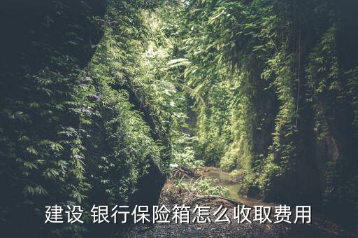 建設(shè) 銀行保險箱怎么收取費用