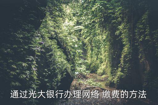 通過(guò)光大銀行辦理網(wǎng)絡(luò) 繳費(fèi)的方法