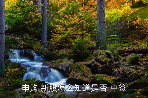 買(mǎi)新股怎么知道中簽,查詢(xún)新股是否中簽三個(gè)渠道可查詢(xún)