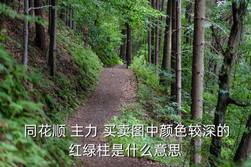 同花順主力買(mǎi)賣(mài)怎么看,主力買(mǎi)賣(mài)指示器如何顯示