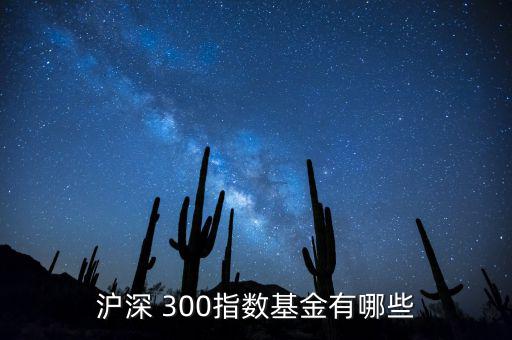 工銀滬深300怎么樣,周一開(kāi)盤(pán)必買的股票