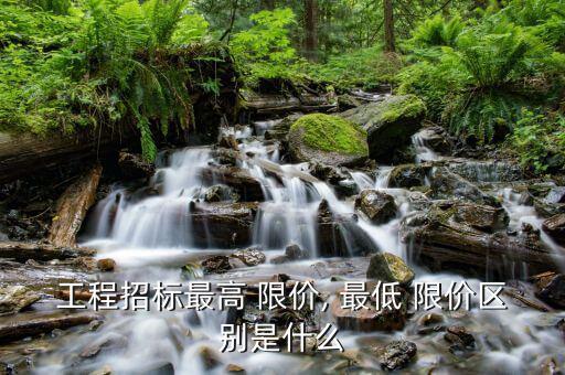 最低限價怎么查詢,招標(biāo)項(xiàng)目最高限價和最低限價