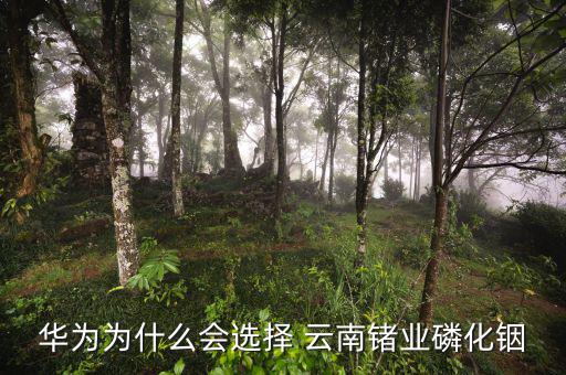 華為為什么會選擇 云南鍺業(yè)磷化銦