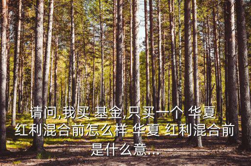 華夏紅利基金怎么買,華夏紅利基金是一款開(kāi)放式混動(dòng)型基金