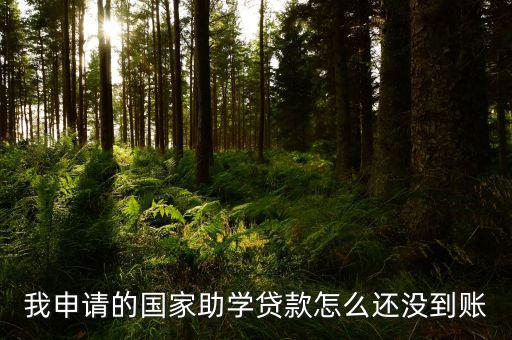 我申請(qǐng)的國(guó)家助學(xué)貸款怎么還沒到賬