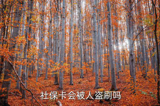 社?？ū槐I刷怎么辦,社保補(bǔ)卡服務(wù)丟了怎么辦