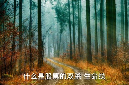 雙生命線(xiàn)怎么看,從業(yè)績(jī)和市場(chǎng)估值雙重下滑!