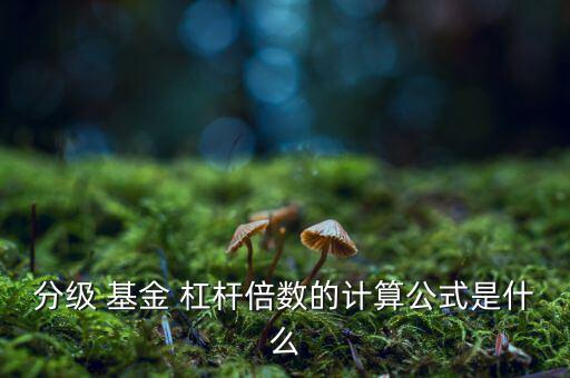 分級 基金 杠桿倍數的計算公式是什么