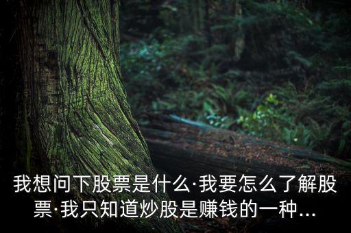 進行個股簡單說明怎么寫,投資股票要學會釣魚，學會吃魚!