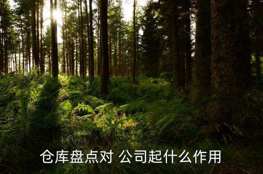 倉庫盤點(diǎn)對(duì) 公司起什么作用