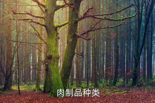  肉制品種類(lèi)