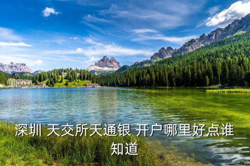 深圳 天交所天通銀 開戶哪里好點誰知道