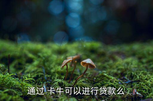 通過 卡?？梢赃M行貸款么