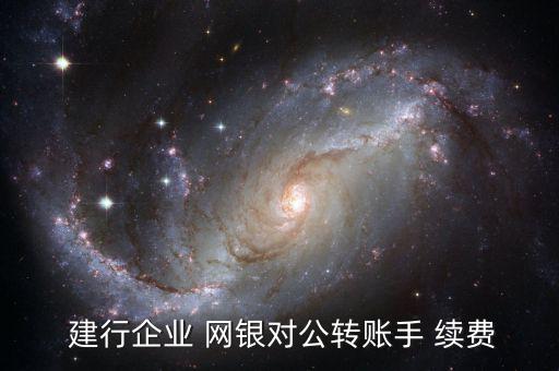  建行企業(yè) 網(wǎng)銀對公轉(zhuǎn)賬手 續(xù)費