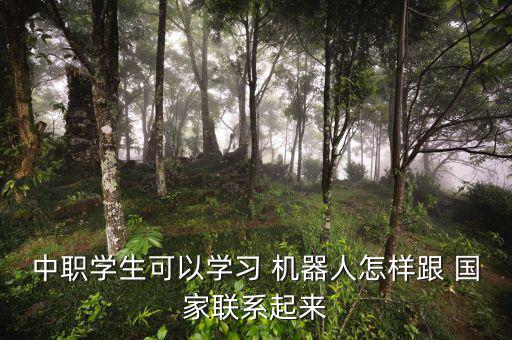 國家怎么看機(jī)器人,中職院校機(jī)器人應(yīng)用技術(shù)教學(xué)具有現(xiàn)實意義