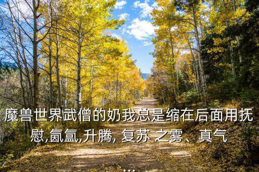 魔獸世界武僧的奶我總是縮在后面用撫慰,氤氳,升騰, 復蘇 之霧、真氣...