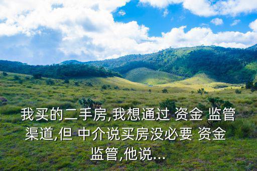 我買的二手房,我想通過(guò) 資金 監(jiān)管渠道,但 中介說(shuō)買房沒必要 資金 監(jiān)管,他說(shuō)...