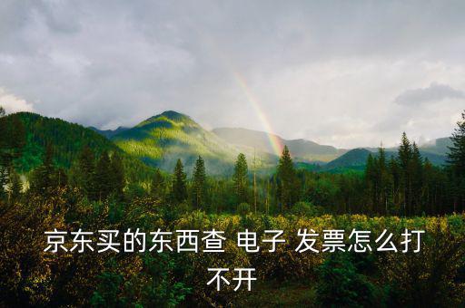  京東買的東西查 電子 發(fā)票怎么打不開(kāi)