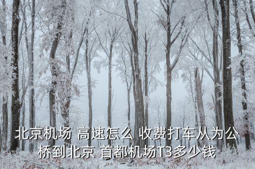 北京機(jī)場(chǎng) 高速怎么 收費(fèi)打車從為公橋到北京 首都機(jī)場(chǎng)T3多少錢