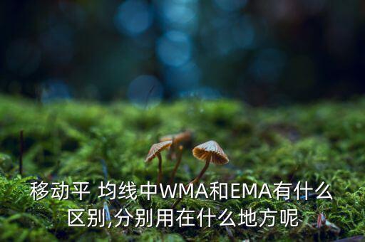 移動平 均線中WMA和EMA有什么區(qū)別,分別用在什么地方呢