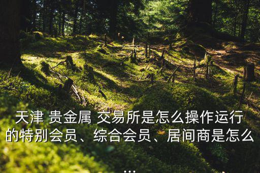 天津 貴金屬 交易所是怎么操作運(yùn)行的特別會員、綜合會員、居間商是怎么...