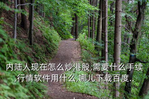 內陸人現(xiàn)在怎么炒港股,需要什么手續(xù),行情軟件用什么,哪兒下載百度...