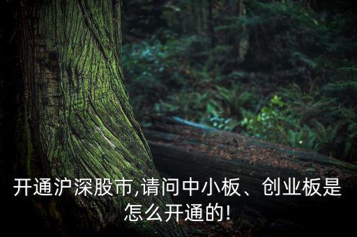 開(kāi)通滬深股市,請(qǐng)問(wèn)中小板、創(chuàng)業(yè)板是怎么開(kāi)通的!