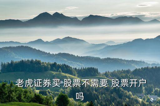  老虎證券買(mǎi) 股票不需要 股票開(kāi)戶(hù)嗎