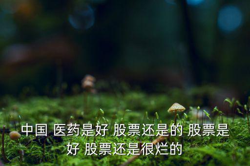 沃華醫(yī)藥股票怎么樣,中國醫(yī)藥這個(gè)股票前景如何?