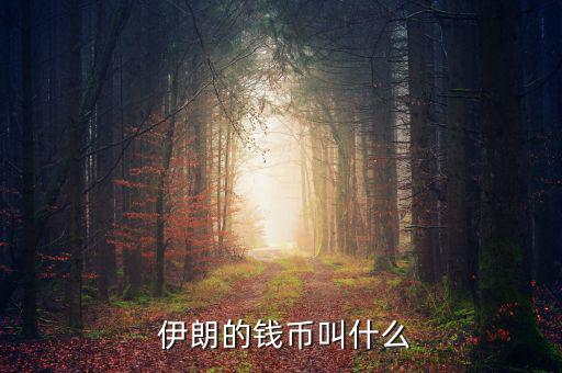  伊朗的錢(qián)幣叫什么