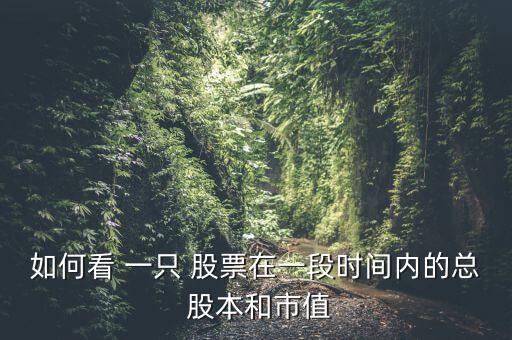 如何看 一只 股票在一段時間內的總 股本和市值