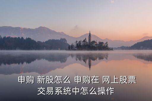  申購 新股怎么 申購在 網上股票交易系統(tǒng)中怎么操作