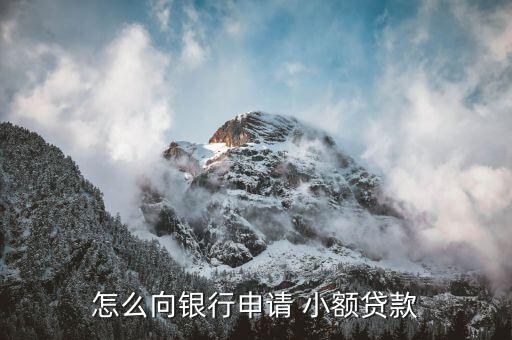 怎么小額信貸,網(wǎng)上申請(qǐng)貸款小額如何在線(xiàn)咨詢(xún)