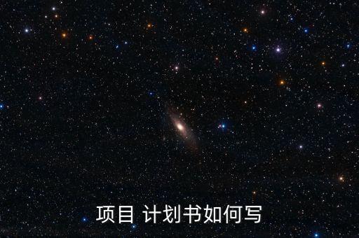 項(xiàng)目 計(jì)劃書(shū)如何寫(xiě)
