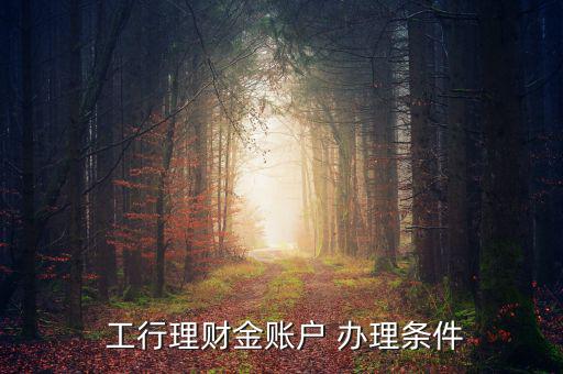  工行理財金賬戶 辦理?xiàng)l件