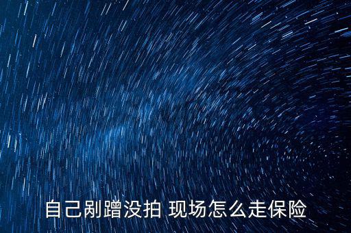 車險(xiǎn)沒(méi)有現(xiàn)場(chǎng)怎么理賠,汽車保險(xiǎn)知多少?