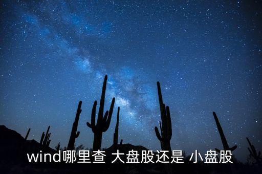 怎么看是大盤股還是小盤股,什么是小盤股?沒(méi)有統(tǒng)一標(biāo)準(zhǔn)