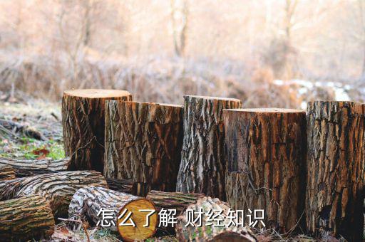 怎么了解 財(cái)經(jīng)知識