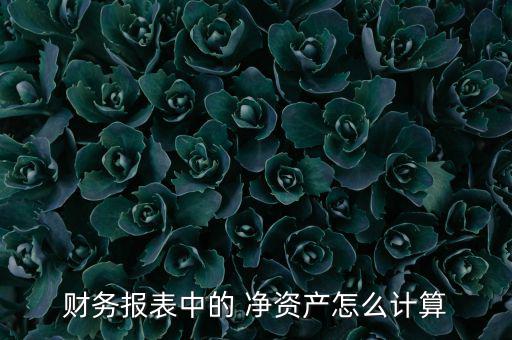 財務(wù)報表中的 凈資產(chǎn)怎么計算