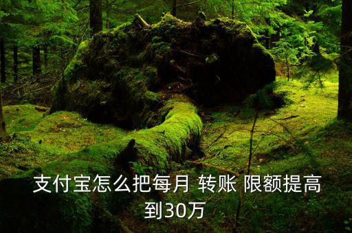  支付寶怎么把每月 轉賬 限額提高到30萬