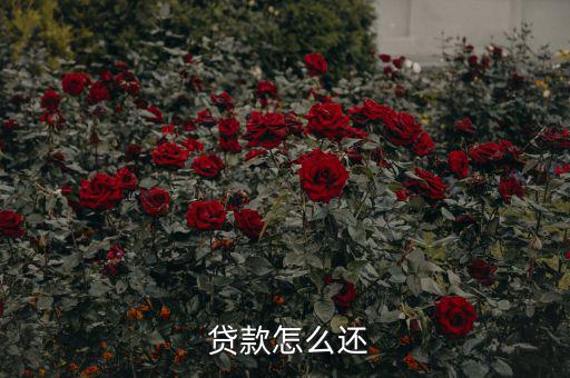 貸款怎么還合適,中國(guó)銀行推出等額本息、月均本金等還款方式