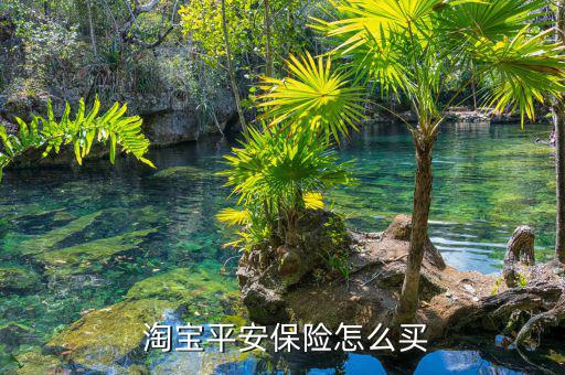 怎么在淘寶上賣(mài)保險(xiǎn),怎么買(mǎi)保險(xiǎn)?可以這樣做!