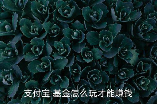 支付寶 基金怎么玩才能賺錢(qián)