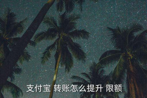  支付寶 轉賬怎么提升 限額