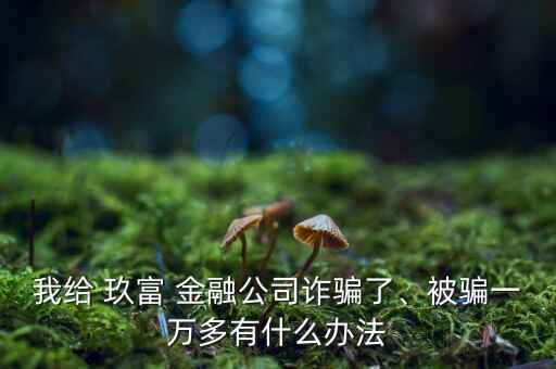 我給 玖富 金融公司詐騙了、被騙一萬多有什么辦法